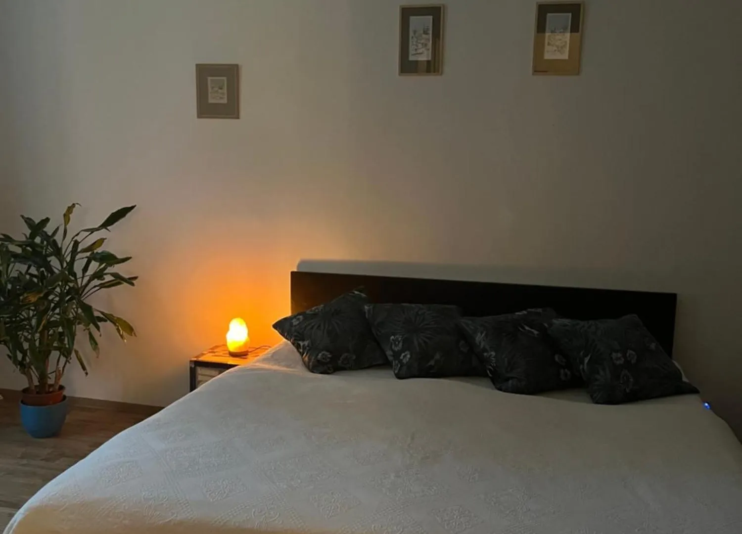 Retro Apartment In Praha 0*,  Česká republika