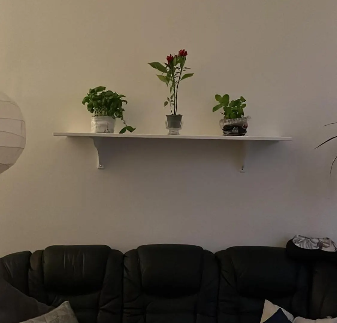 Retro Apartment In Praha